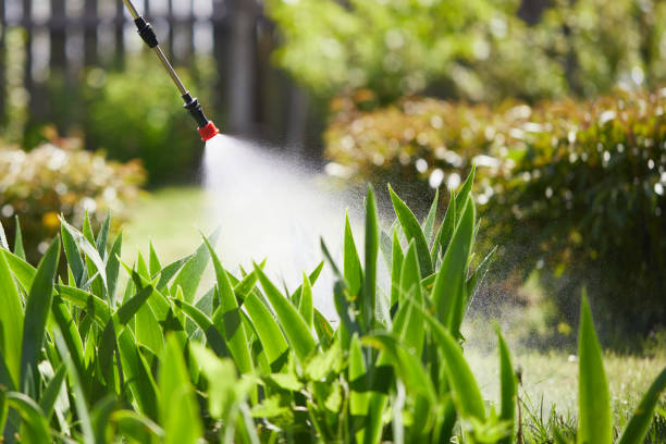 Tamper-Resistant Bait Stations for Rodents in Iselin