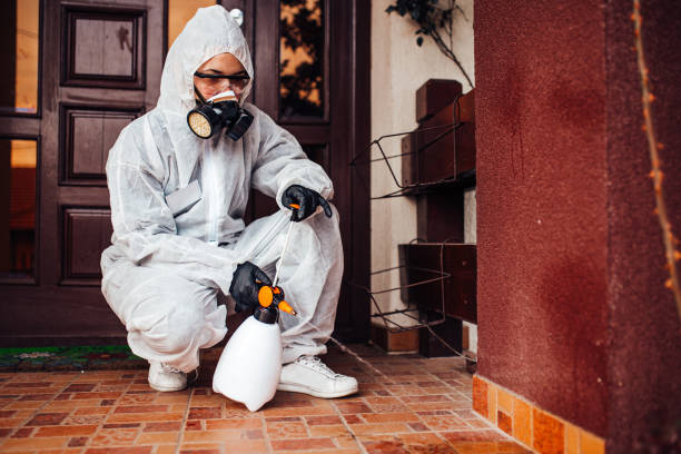 Attic and Crawl Space Rodent Treatment in Iselin