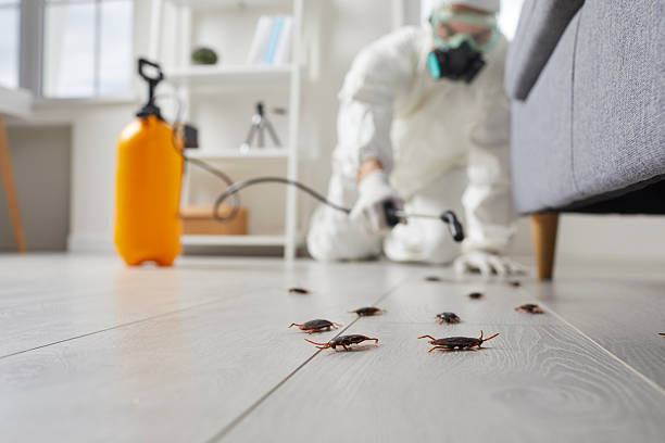 Commercial Rodent Management in Iselin